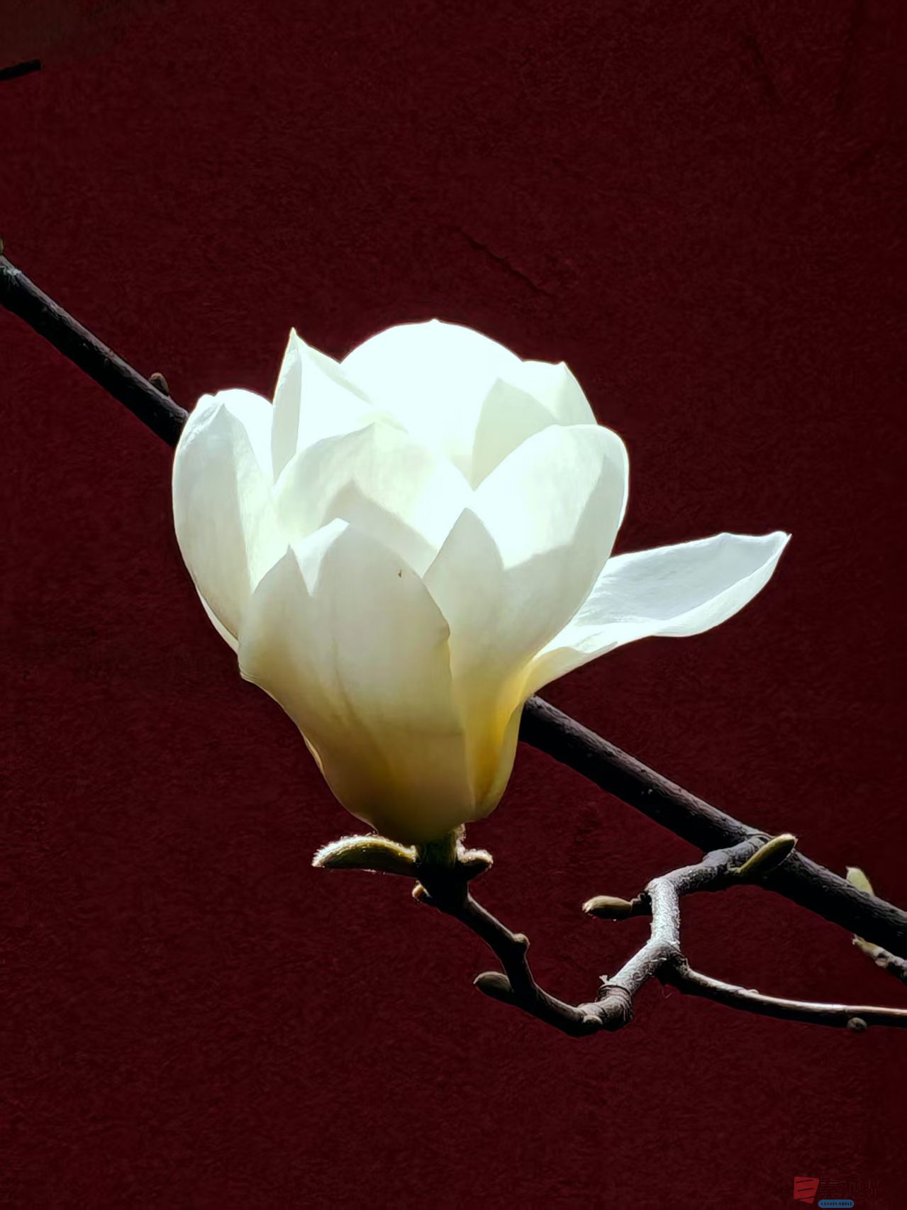 杨波_20260314081953_4334_47 (2).jpg