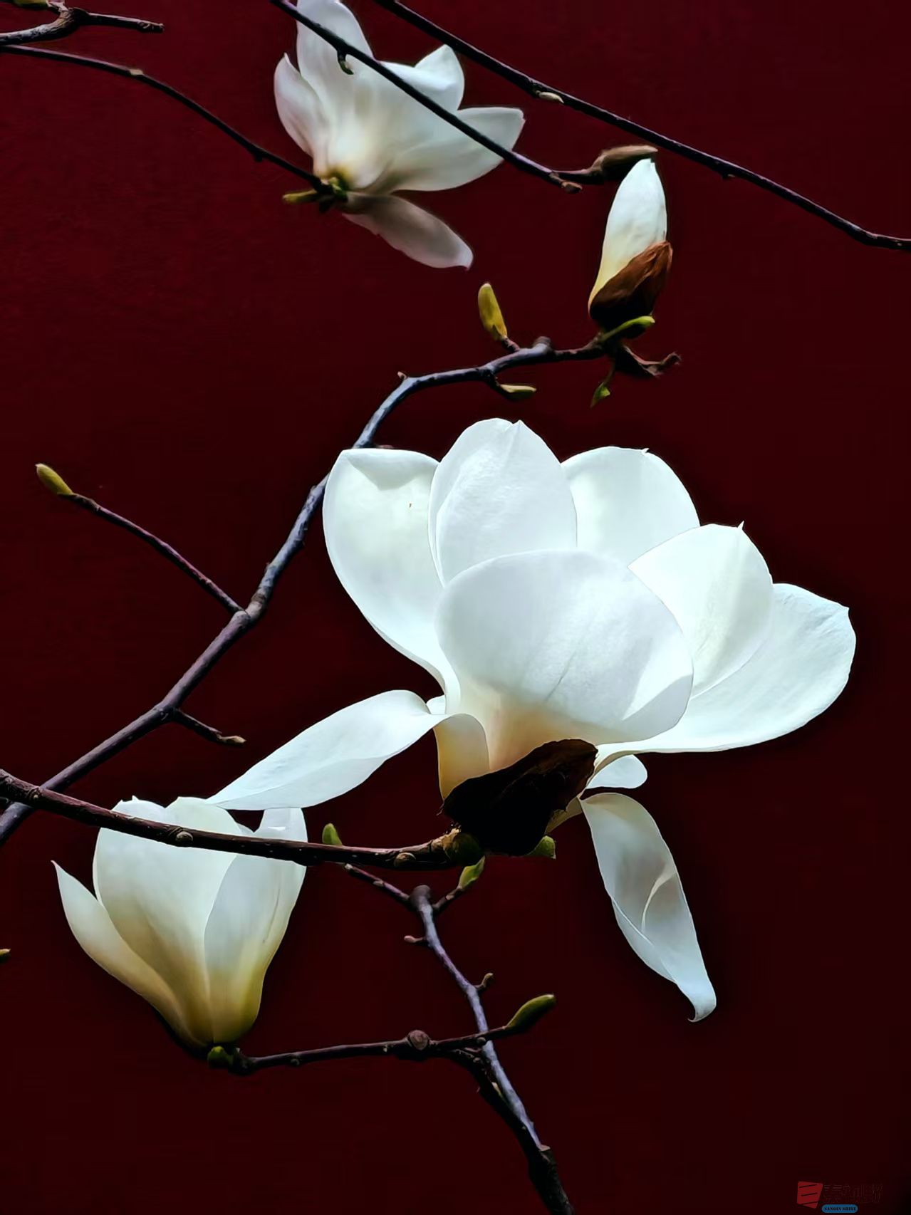 杨波_20260314081953_4334_47 (5).jpg