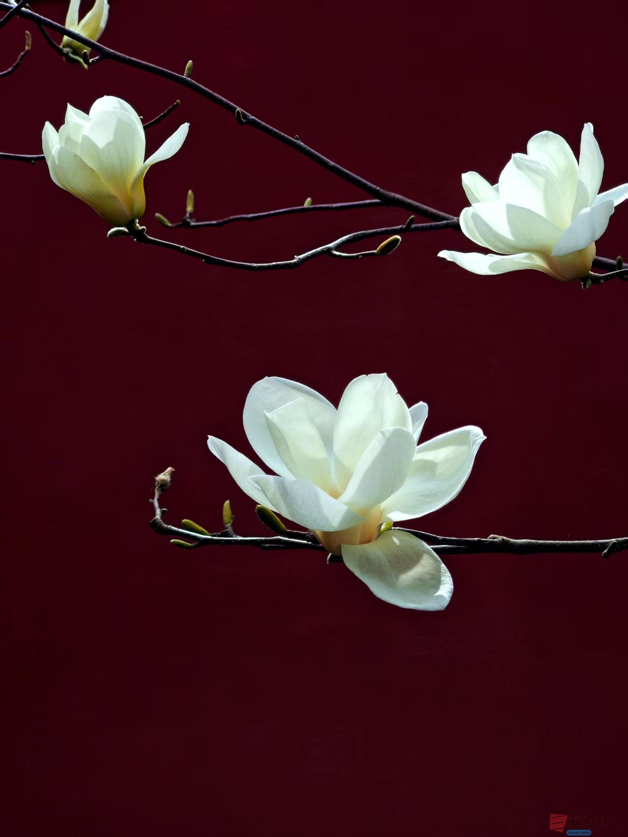 杨波_20260314081953_4334_47 (6).jpg