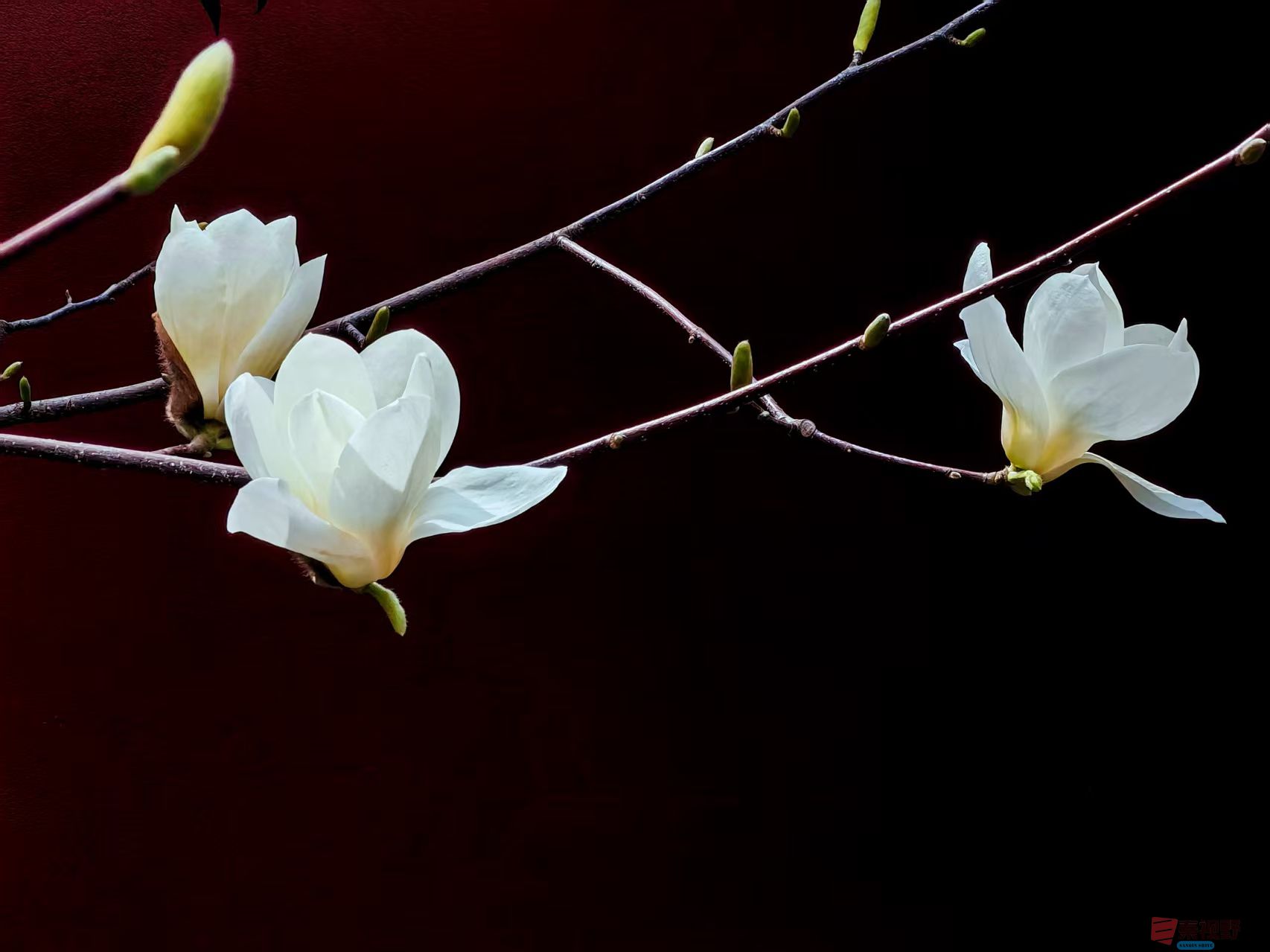 杨波_20260314081953_4334_47 (9).jpg