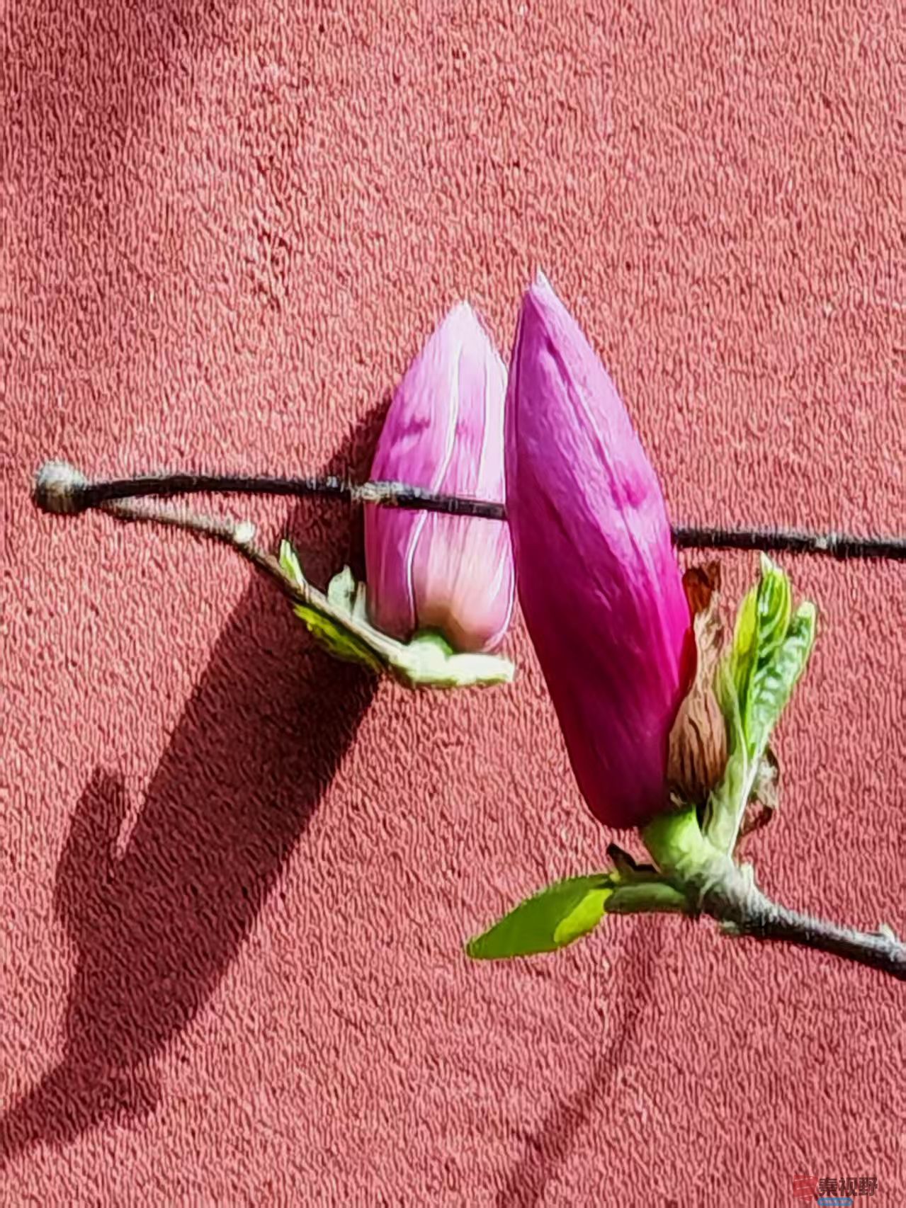 杨波_20260319065431_4425_47 (4).jpg