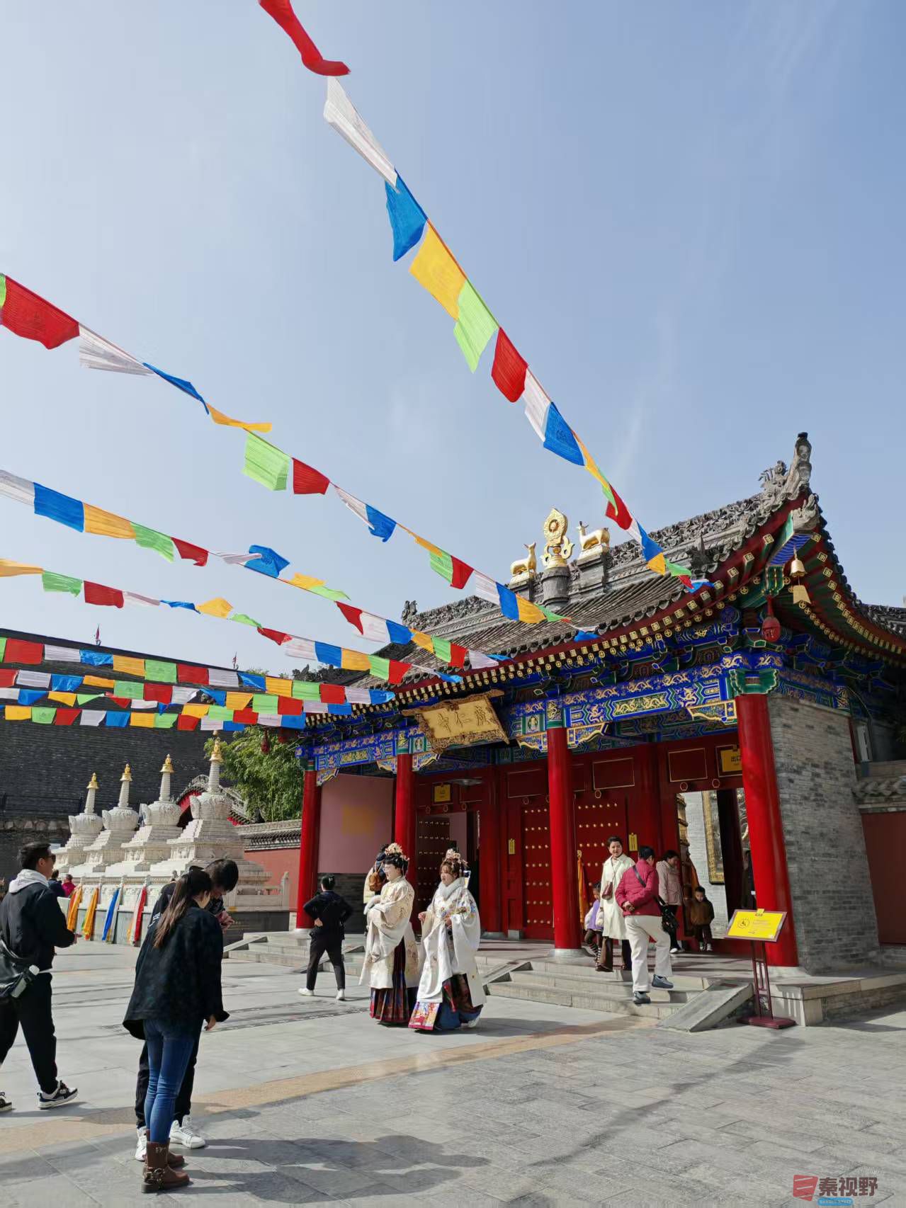 杨波_20260319065431_4425_47 (3).jpg