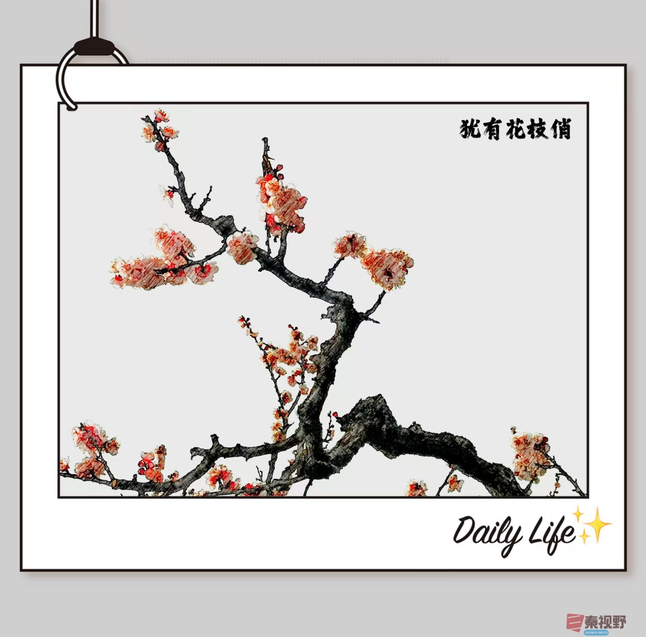 花枝俏【摄影李雪平】