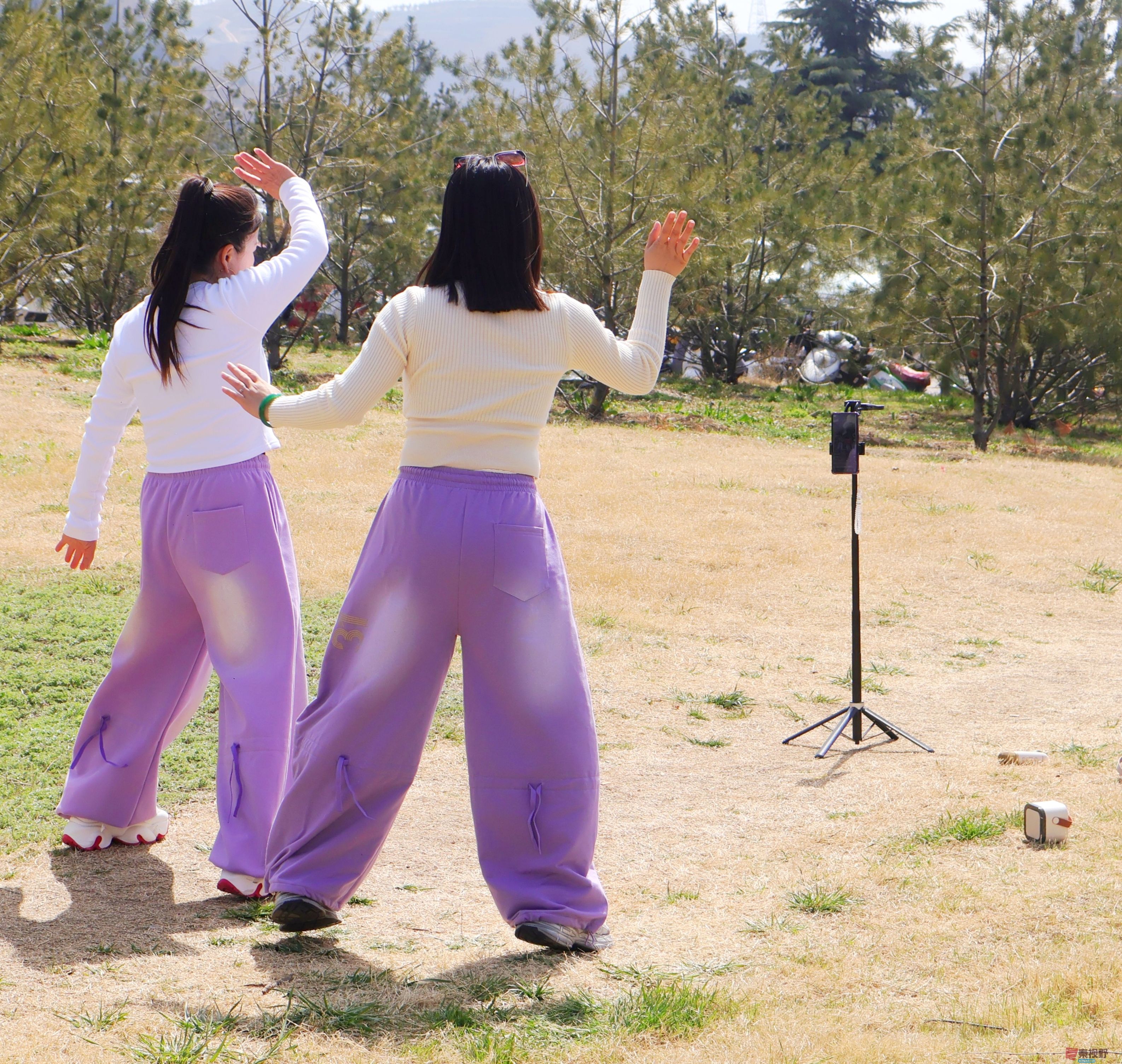 王顺利_20260320182456_4508_47 (2).jpg