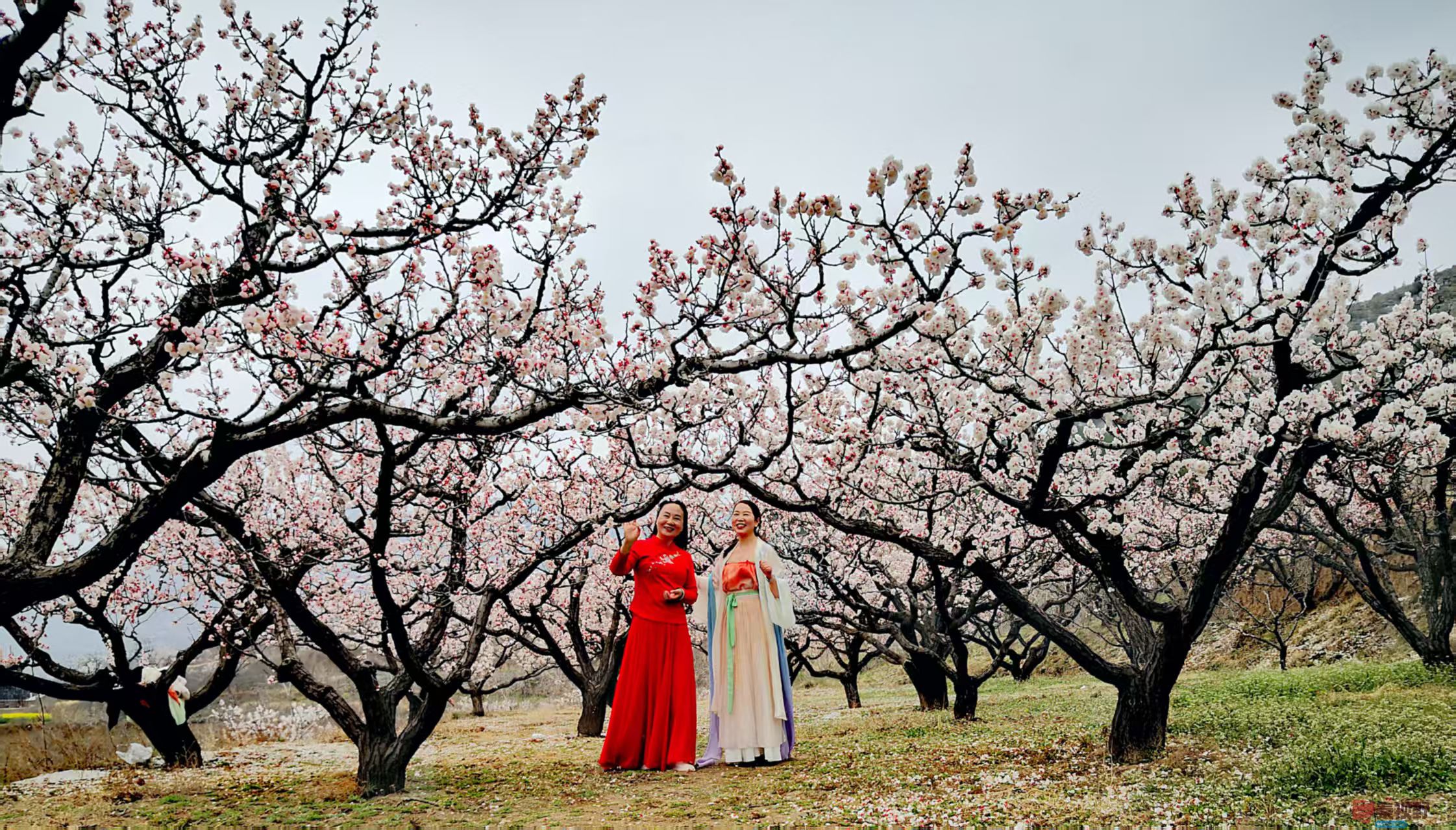 李雪平_20260320202008_4515_47 (1).jpg