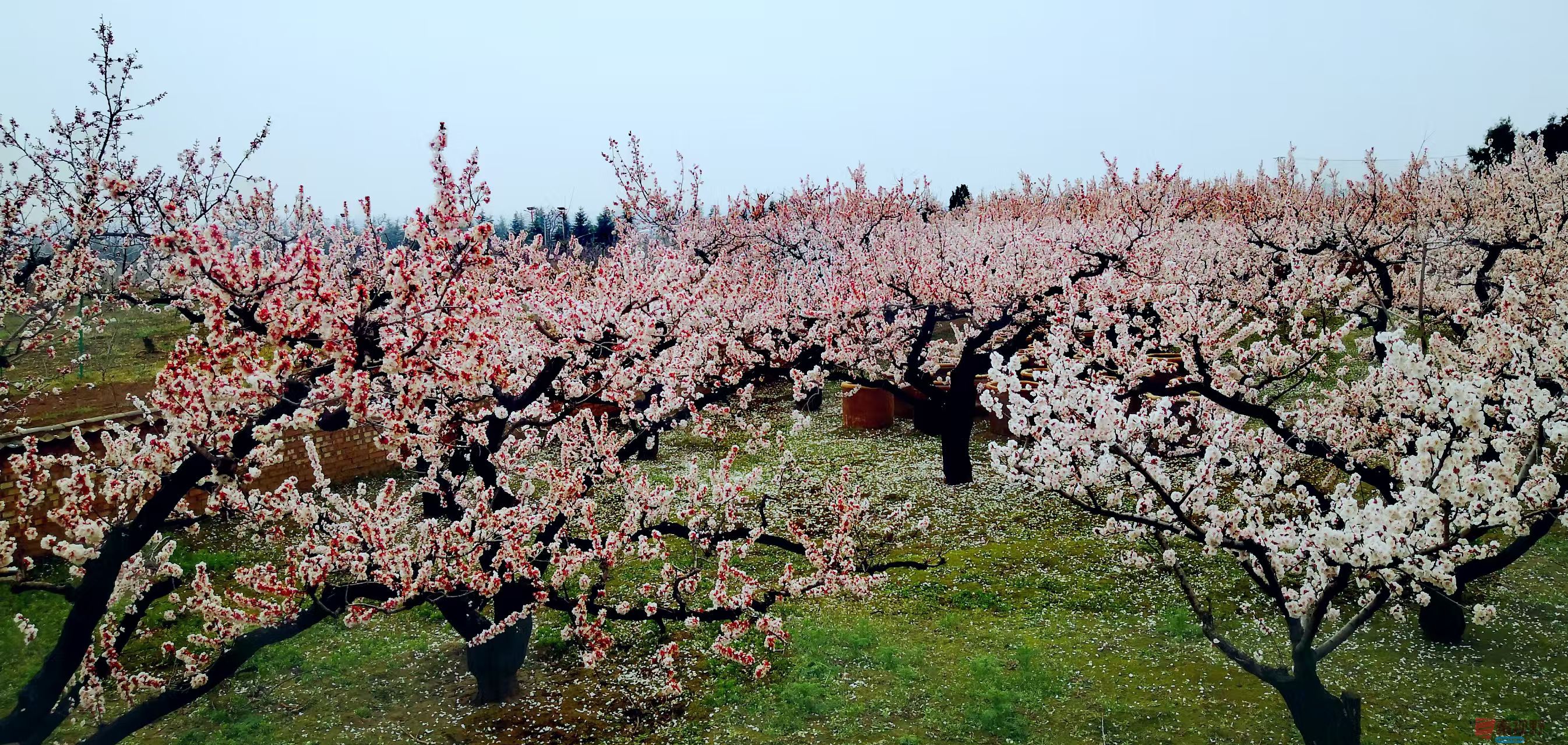 李雪平_20260320202008_4515_47 (3).jpg