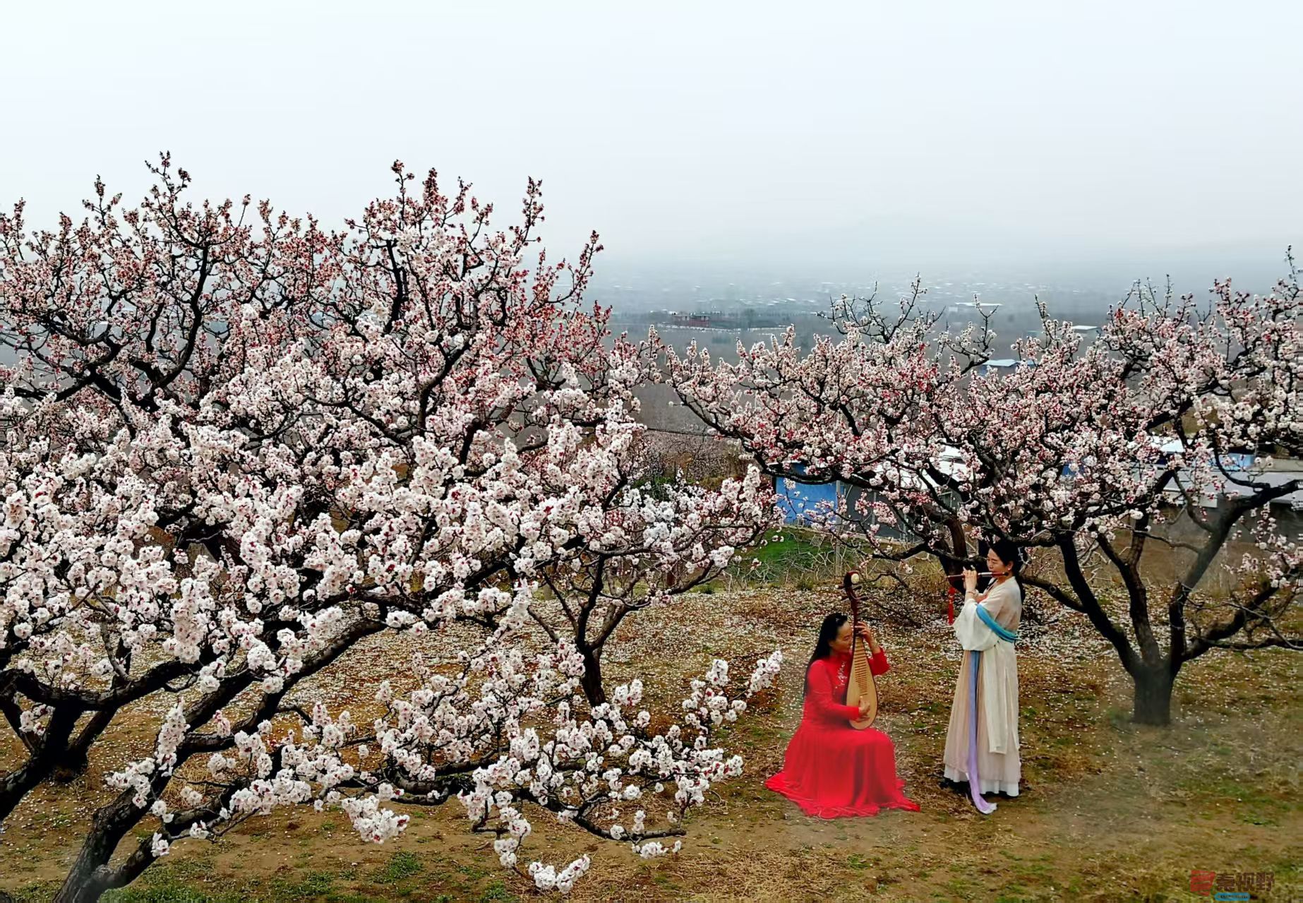 李雪平_20260320202008_4515_47 (4).jpg