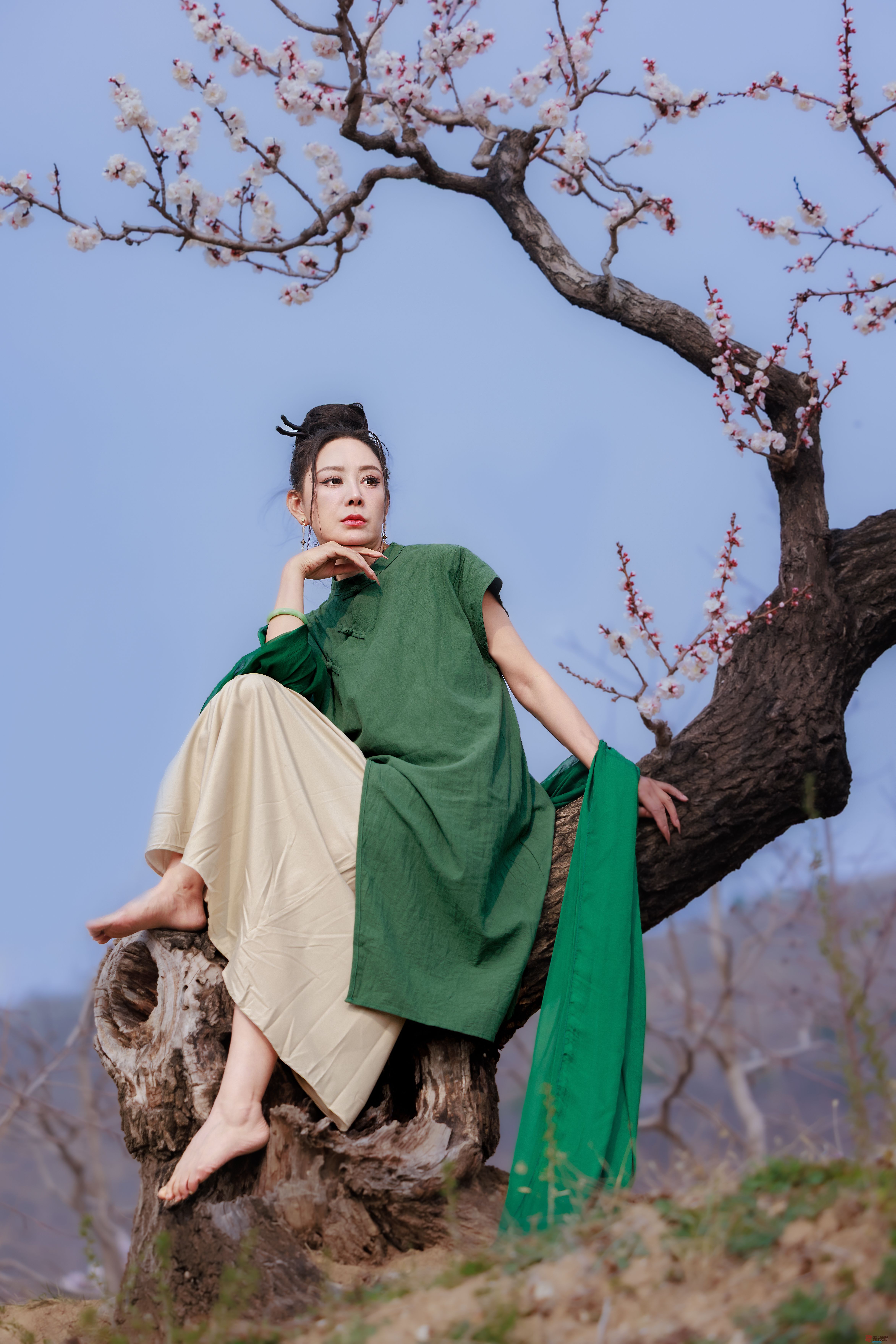 <strong>花中仙子【摄影董德学】</strong>