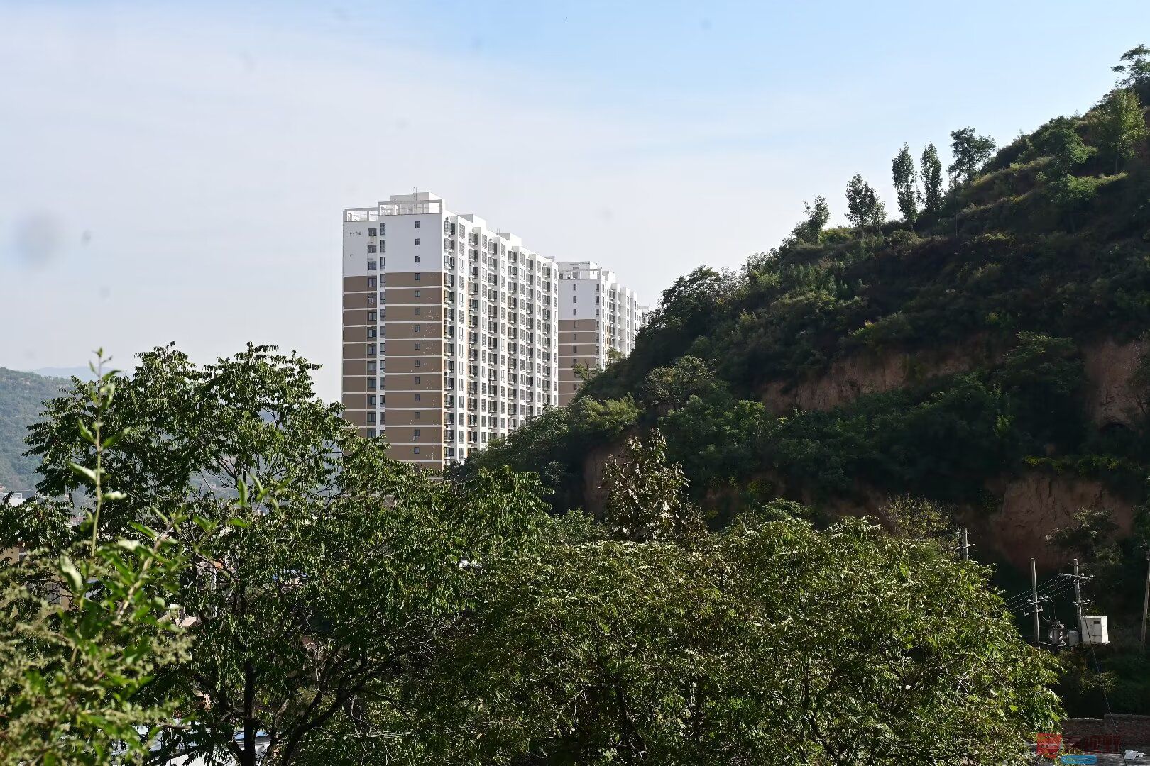 冯均仓_20260315073423_4390_47 (7).jpg