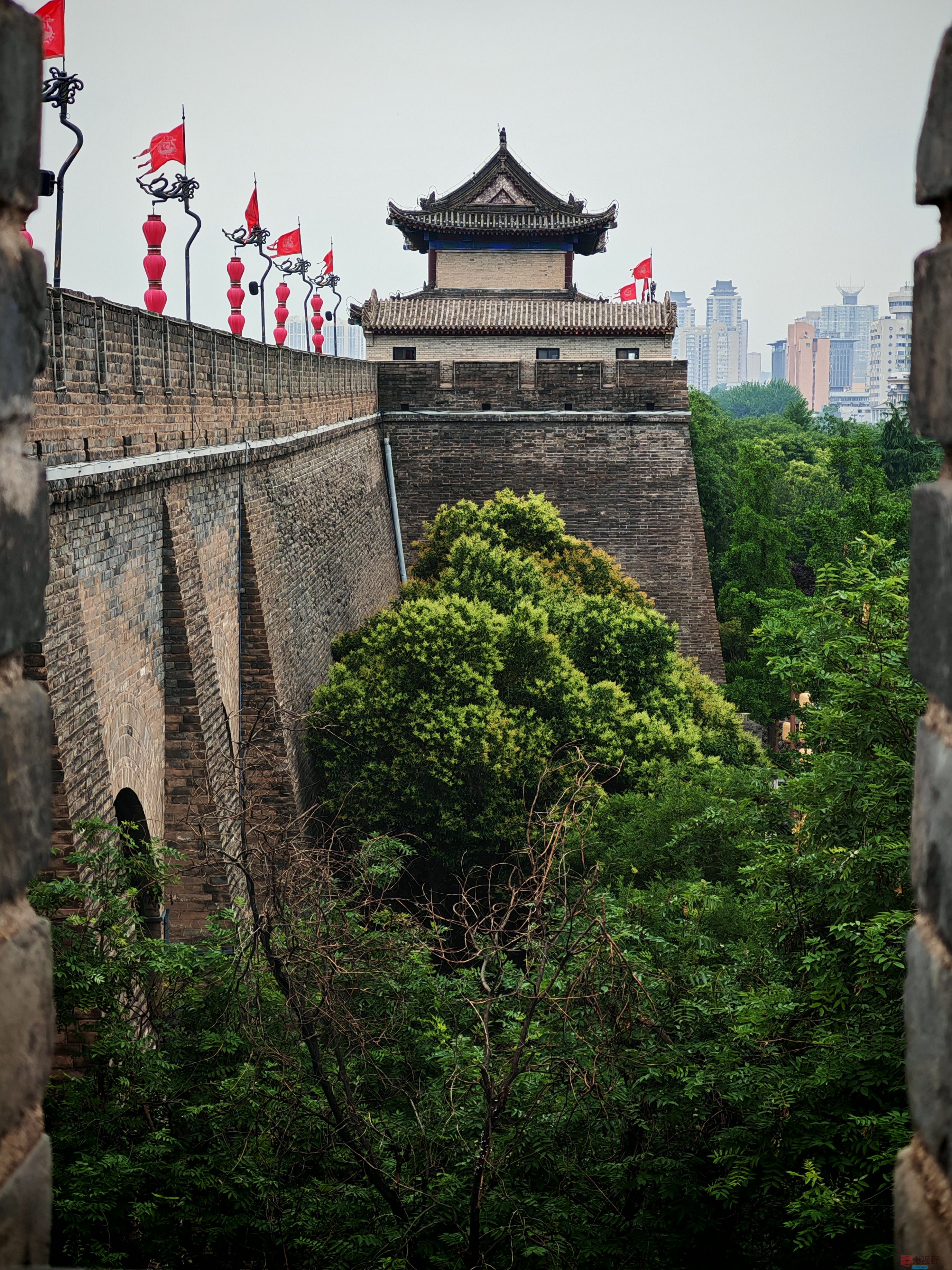杨波_20260527211622_7661_47 (6).jpg